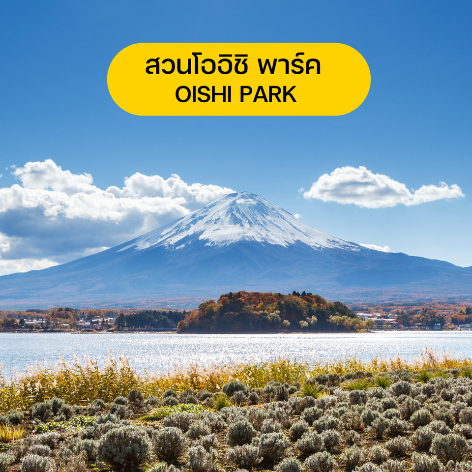 OISHI PARK