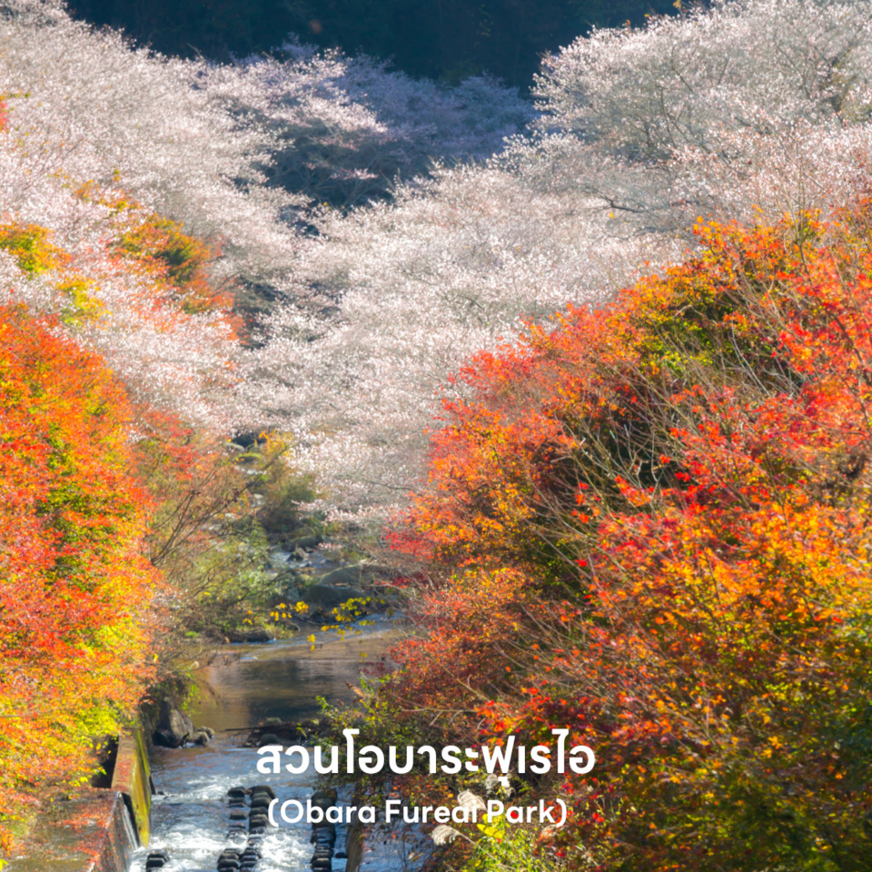 สวนโอบาระฟุเรไอ OBARA FUREAI PARK