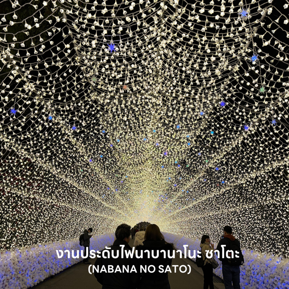 งานประดับไฟนาบานาโนะ ซาโตะ NABANA NO SATO