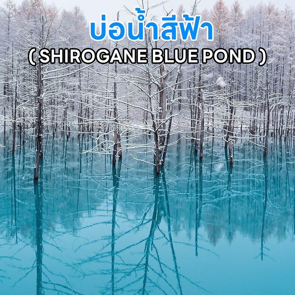 บ่อน้ำสีฟ้า SHIROGANE BLUE POND