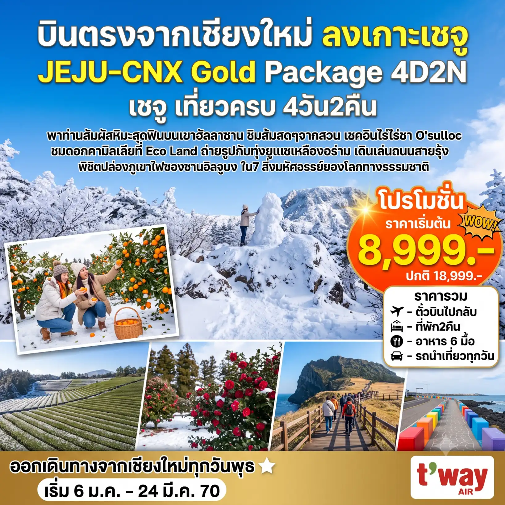 แพ็กเกจทัวร์เกาหลี Jeju Gold Package Winter 4วัน 2คืน (TW) รวมตั๋วเครื่องบิน