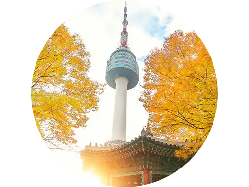 เกาหลี
