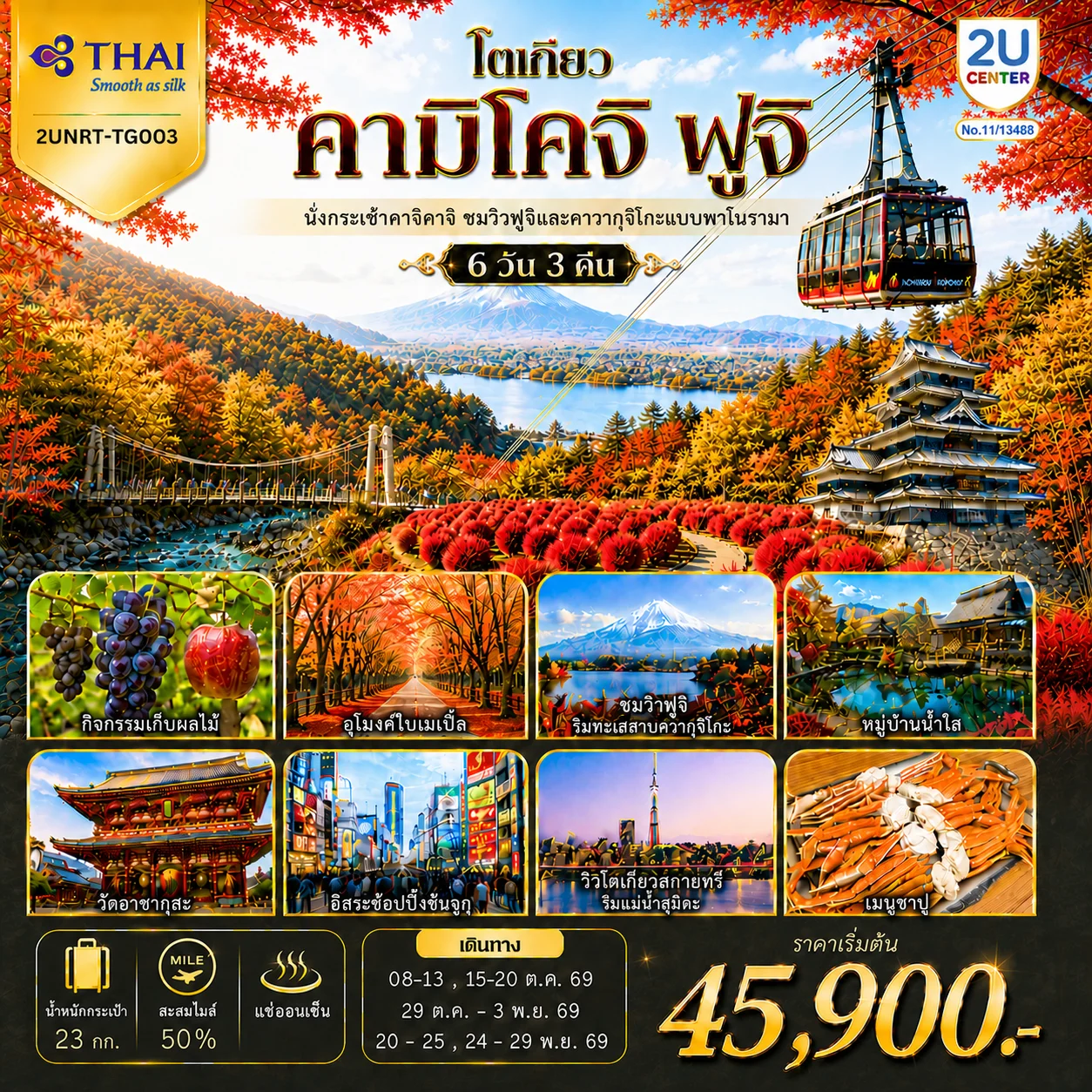 ทัวร์ญี่ปุ่น โตเกียว คามิโคจิ ฟูจิ นั่งกระเช้าคาจิคาจิ AUTUMN FULL BLOOM 6วัน 3คืน (TG)